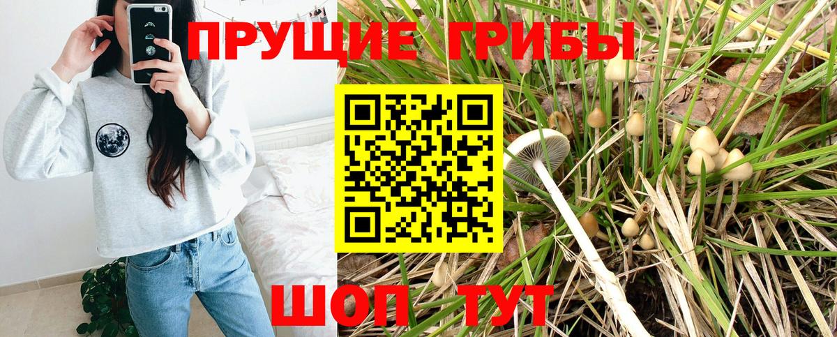 Ирбит  Галлюциногенные грибы GOLDEN TEACHER  Псилоцибиновые грибы прущие грибы  Вход с VPN 