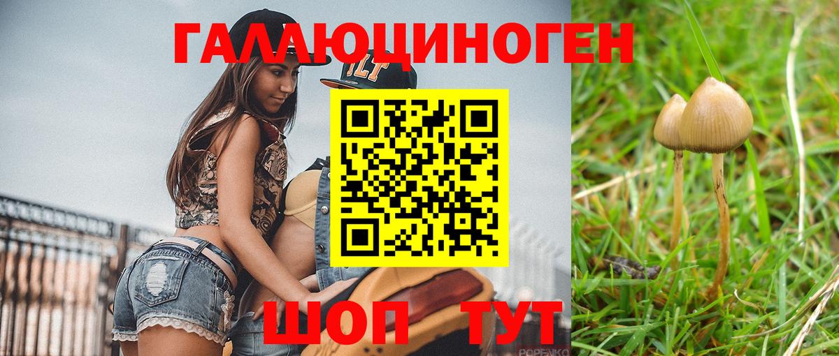 Галлюциногенные грибы Cubensis Ирбит